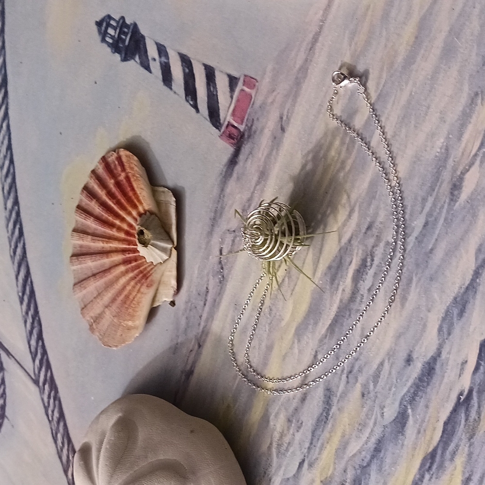 Air plant in silver plated cage with necklace